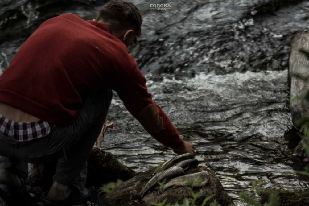 wędkarstwo skandynawia